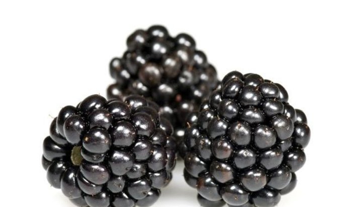 Кисель из ежевики