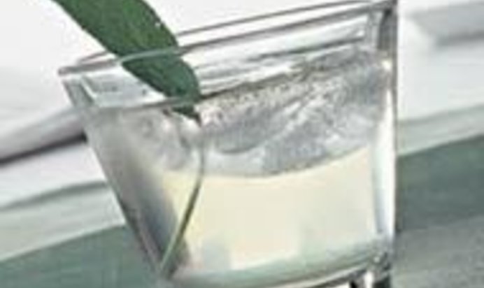 Настойка Ерофеич