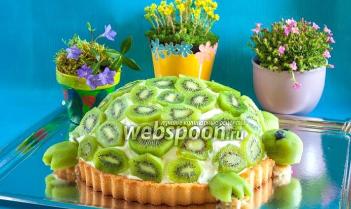 Торт «Изумрудная черепаха»