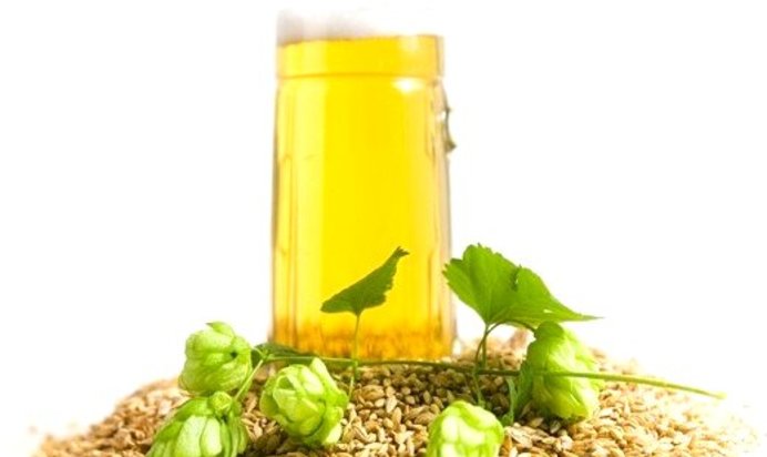 Домашнее пиво из хмеля