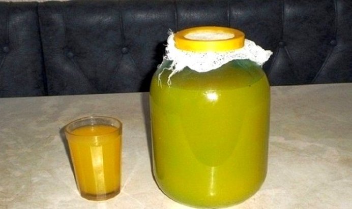 Квас из чистотела