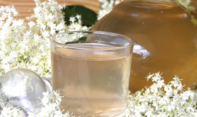 Компот из цветков бузины