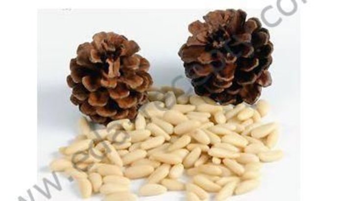 Кедровая настойка на орехах