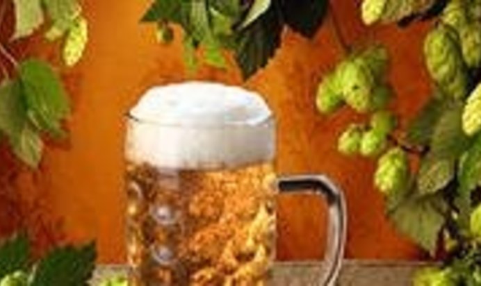 Домашнее русское пиво