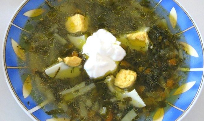 Щи из щавеля на курином бульоне