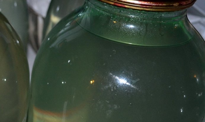 Березовый сок на зиму