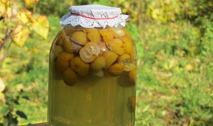 Компот из лимонника