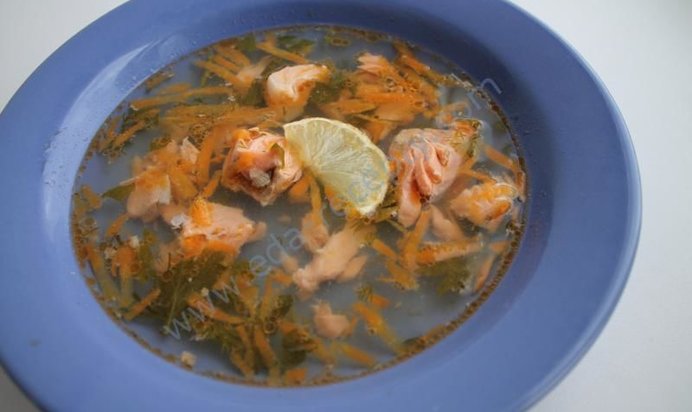 Лимонная уха из семги