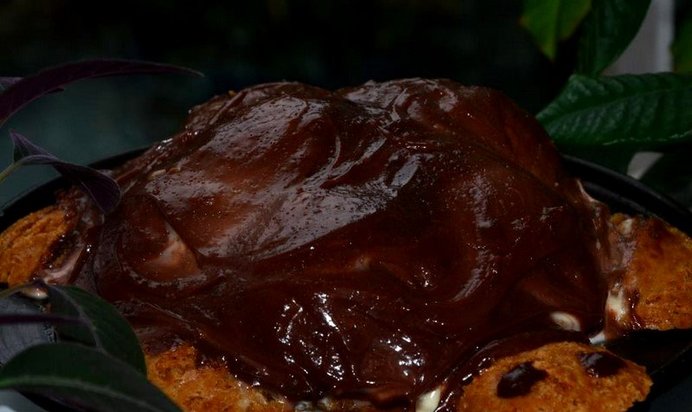 Торт Черепаха