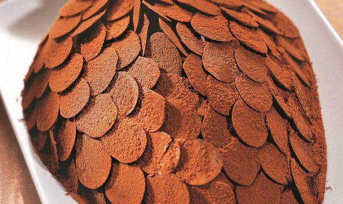 Торт Cосновая шишка