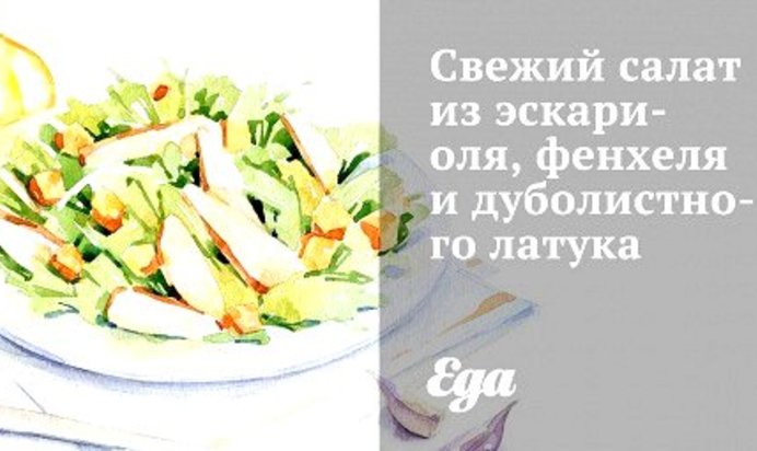 Свежий салат из эскариоля, фенхеля и дуболистного латука