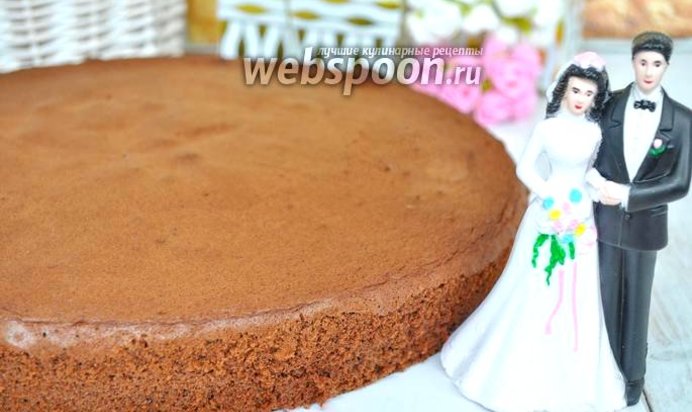 Бисквит для большого торта