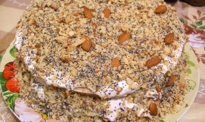 Светлый Торт Рыжик с медом