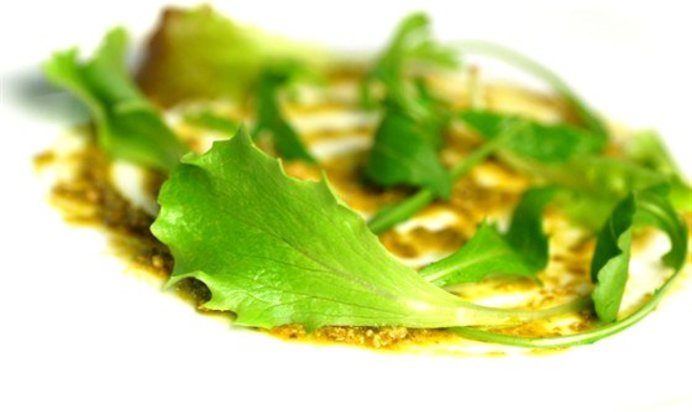 Песто из лимонов, базилика и кедровых орешков