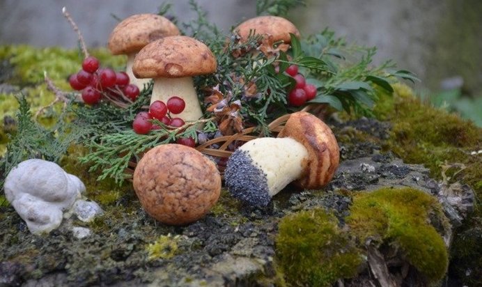 Печенье «Грибочки»