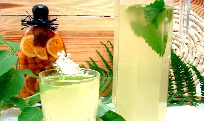 Квас из цветов бузины