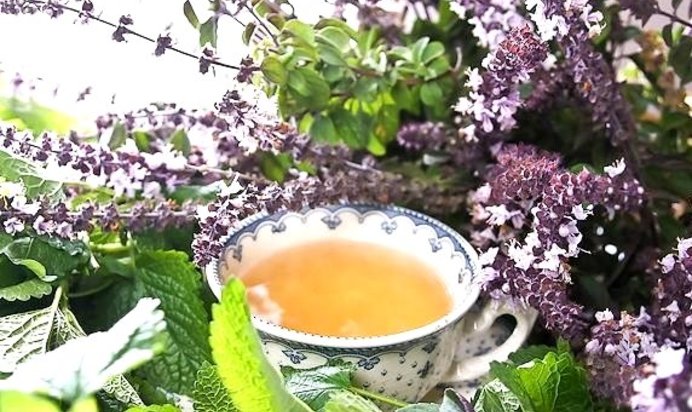 Сироп шалфея