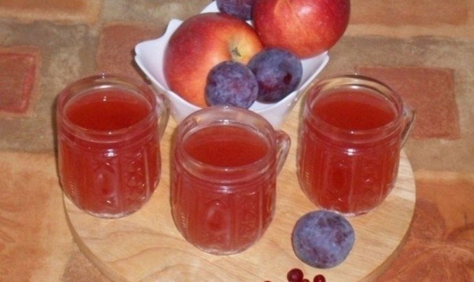 Кисель с яблоками, сливами и брусникой