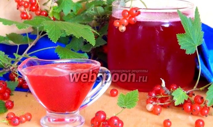 Сироп-желе из красной смородины без варки