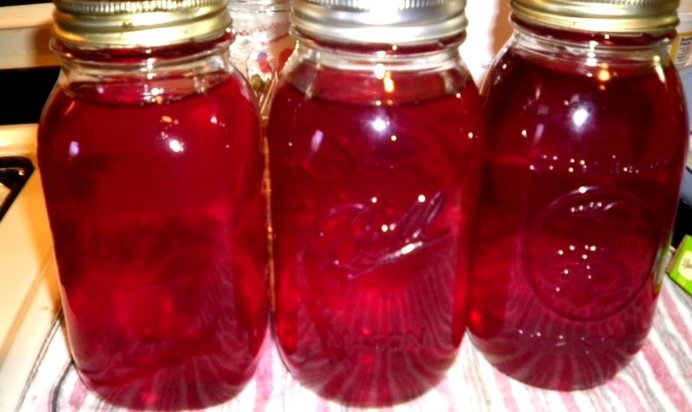 Компот из клюквы